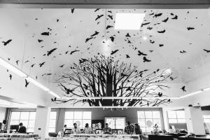 13528107_654888488008143_8008923906579292946_o